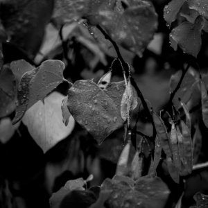 DSCF5754.jpg