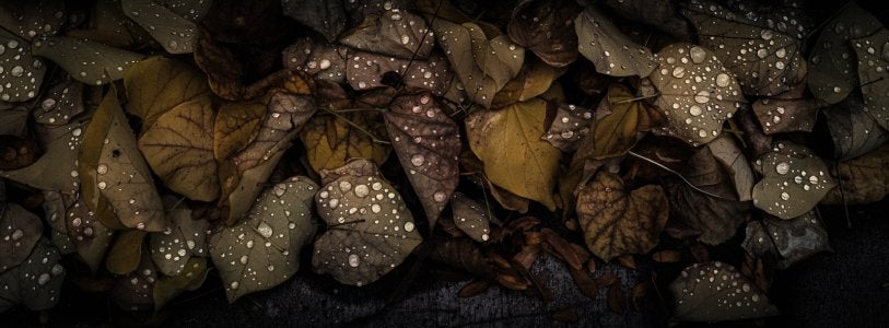DSCF5891jpgxl.jpg